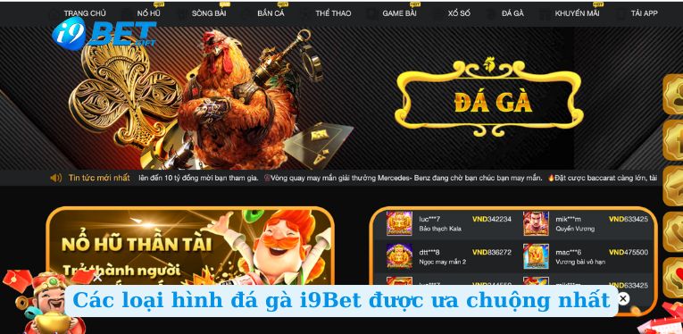 Các loại hình đá gà i9Bet được ưa chuộng nhất