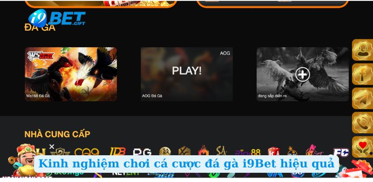 Kinh nghiệm chơi cá cược đá gà i9Bet hiệu quả